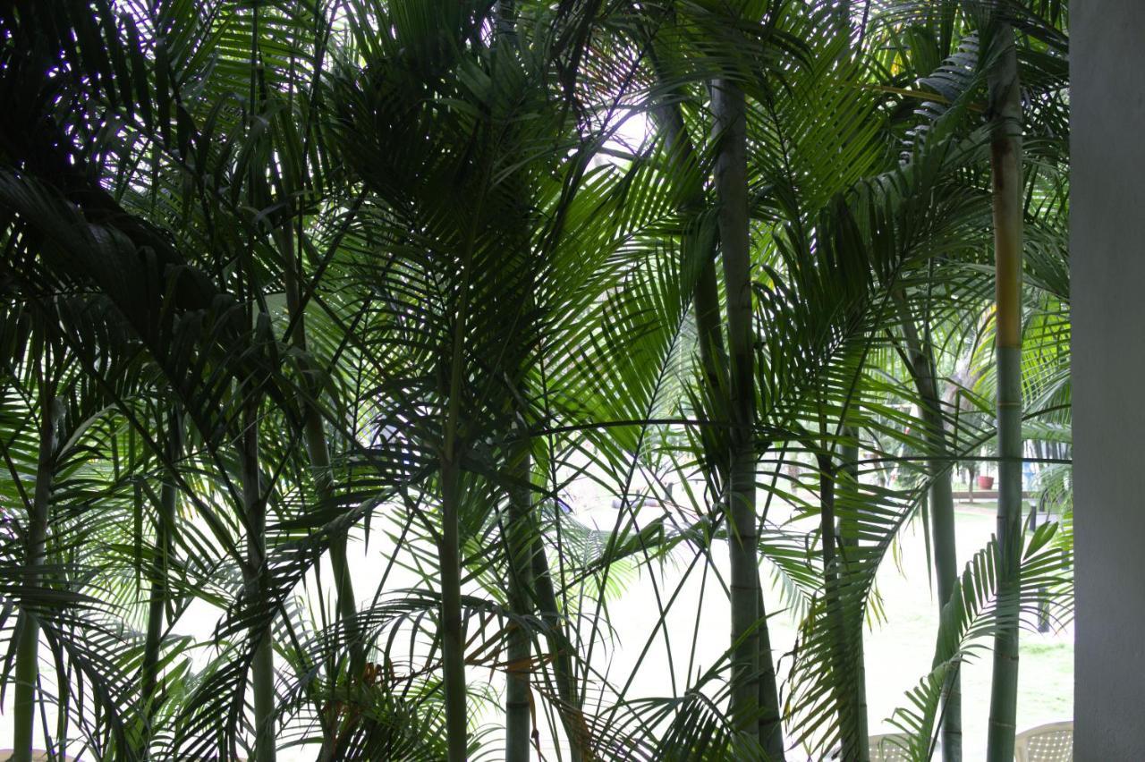 Resort Mrugavani &