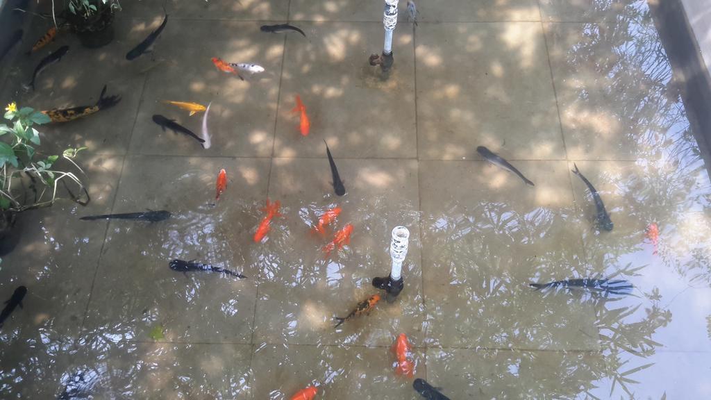 Mrugavani & Resort Hyderabad