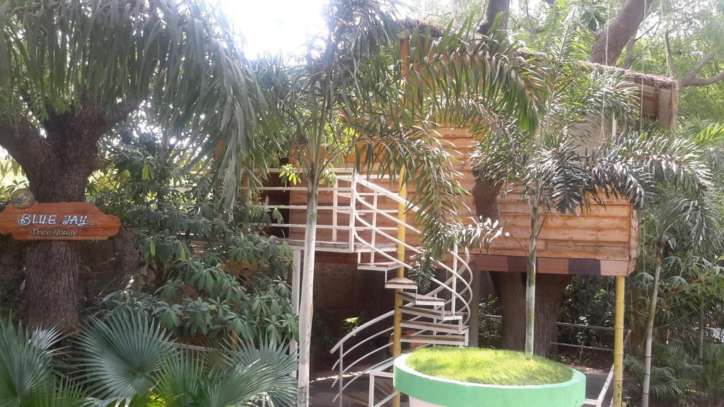 Mrugavani & Resort 4*